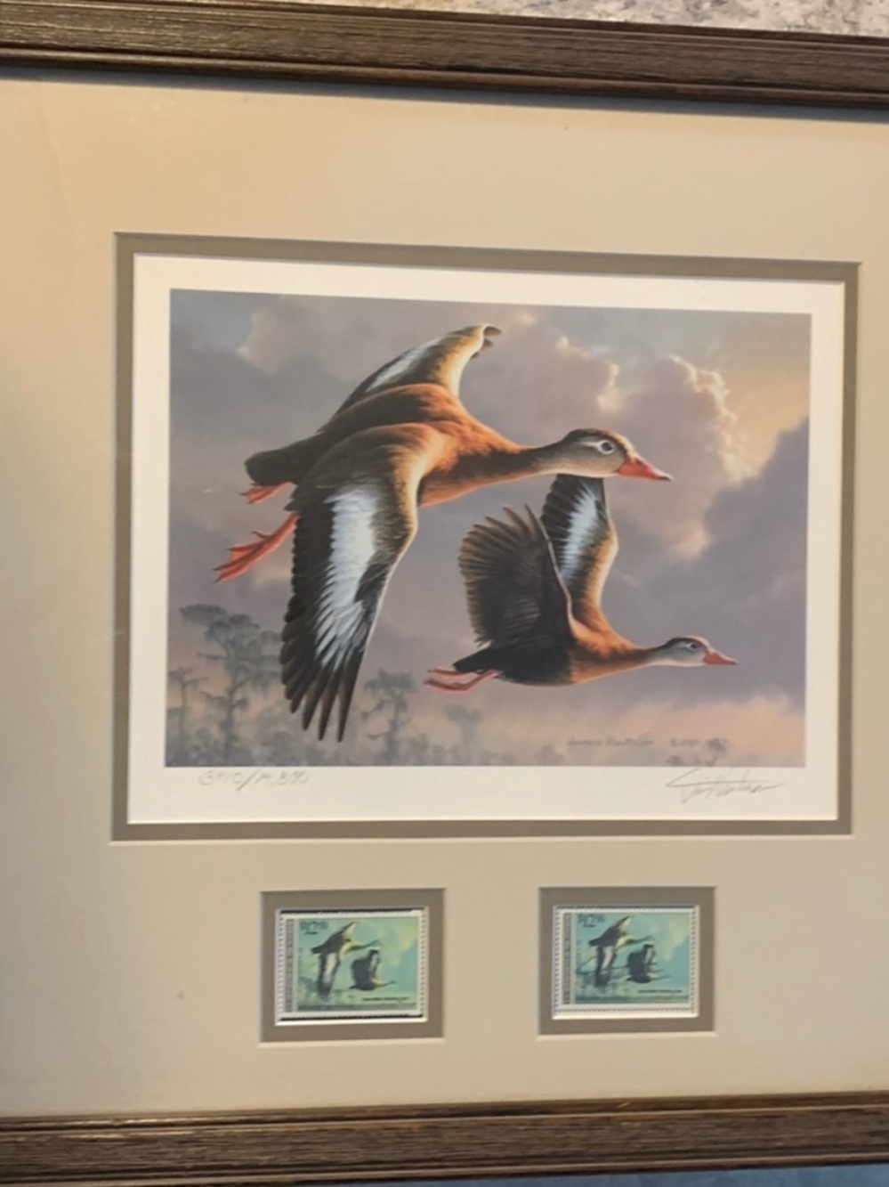 1989 Migratory Bird Hunting Duck Stamp Printd